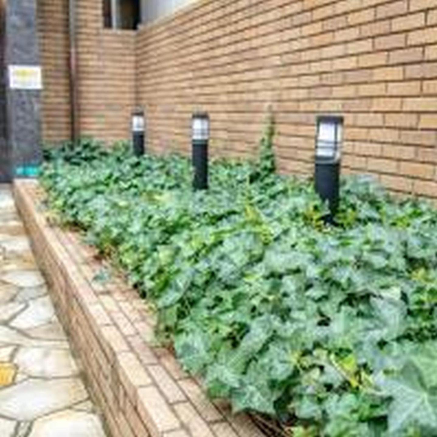 Appartement Yuki 804 Ōsaka